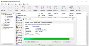 IDM Review